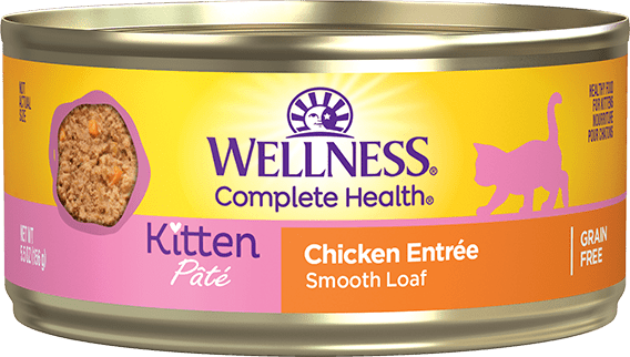 Wellness Complete Health Paté Kitten: Chicken
